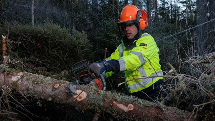 Trefelling