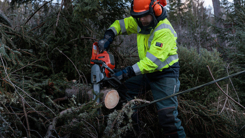 Rydding av skog langs høyspentlinjer